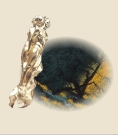 about-us image